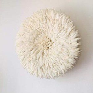 White/Ivory Feather Wall Decor
